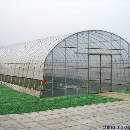 Daržovių tuneliai šiltnamis